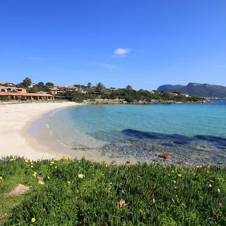 Apartment Swimming Pool & Access Golfo Aranci